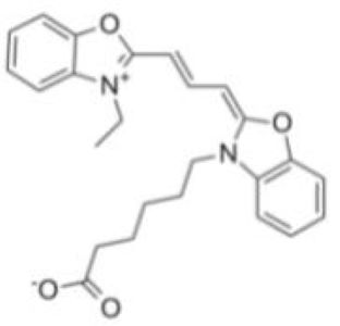 Cy2-琼脂糖,CY2-Agarose