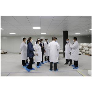 鹿血肽冻干粉,Deer blood peptide freeze-dried powder