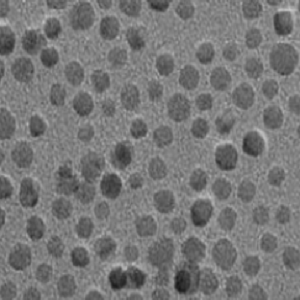 羧基化Fe3O4纳米颗粒，COOH化FeO纳米颗粒