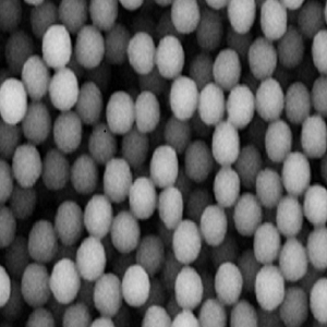 氨基化Fe3O4纳米颗粒，氨基化磁性纳米颗粒