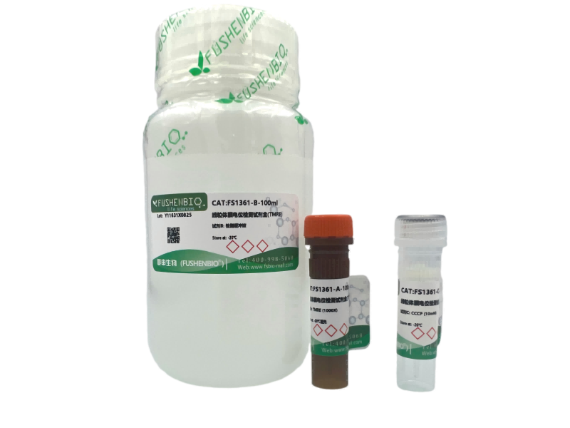 线粒体膜电位检测试剂盒(TMRE红色荧光),Mitochondrial Membrane Potential Assay Kit with TMRE