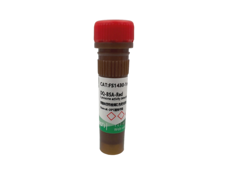 DQ-BSA-Red溶酶体活性检测红色荧光探针,DQ-BSA-Red Lysosome activity detection green fluorescent probe