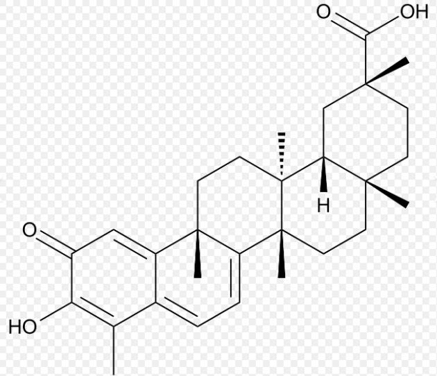 CY2-雷公藤红素,CY2-Celastrol