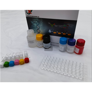 鸡2,5寡腺苷酸合成酶2（OAS2）ELISA试剂盒