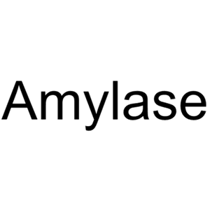 淀粉酶,Amylase