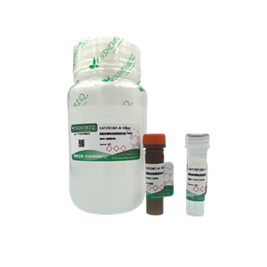 线粒体膜电位检测试剂盒(TMRE红色荧光),Mitochondrial Membrane Potential Assay Kit with TMRE