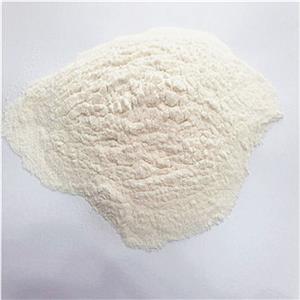 卡拉胶[9000-07-1]