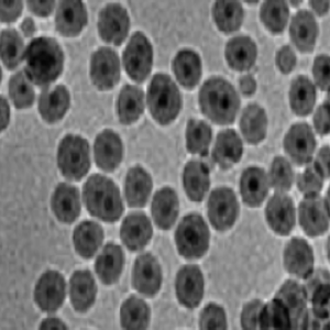 氨基化四氧化三铁纳米颗粒，NH2-modified Fe3O4 nanoparticles