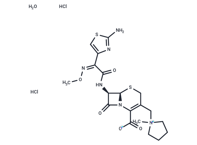 头孢吡肟二盐酸盐一水合物,Cefepime Dihydrochloride Monohydrate
