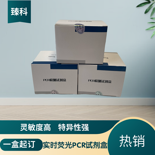 禽网状内皮组织增殖病病毒(REV)PCR定量试剂盒