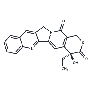 喜树碱,Camptothecin
