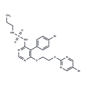 马西替坦,Macitentan