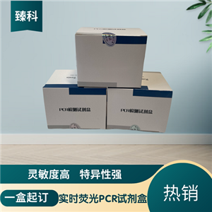 禽网状内皮组织增殖病病毒(REV)PCR定量试剂盒