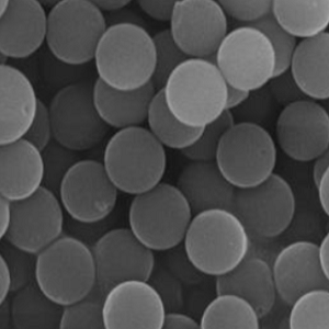 羧基单分散多孔介孔SiO2微球，COOH-SiO2 monodisperse mesoporous microspheres