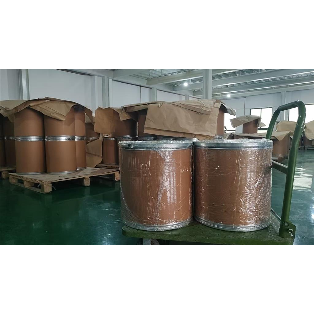 甲基丁二酸,2-Methylsuccinic acid