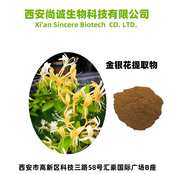 金银花提取物,lonicera caprifolium extract