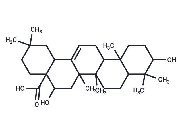 刺囊酸,Echinocystic acid