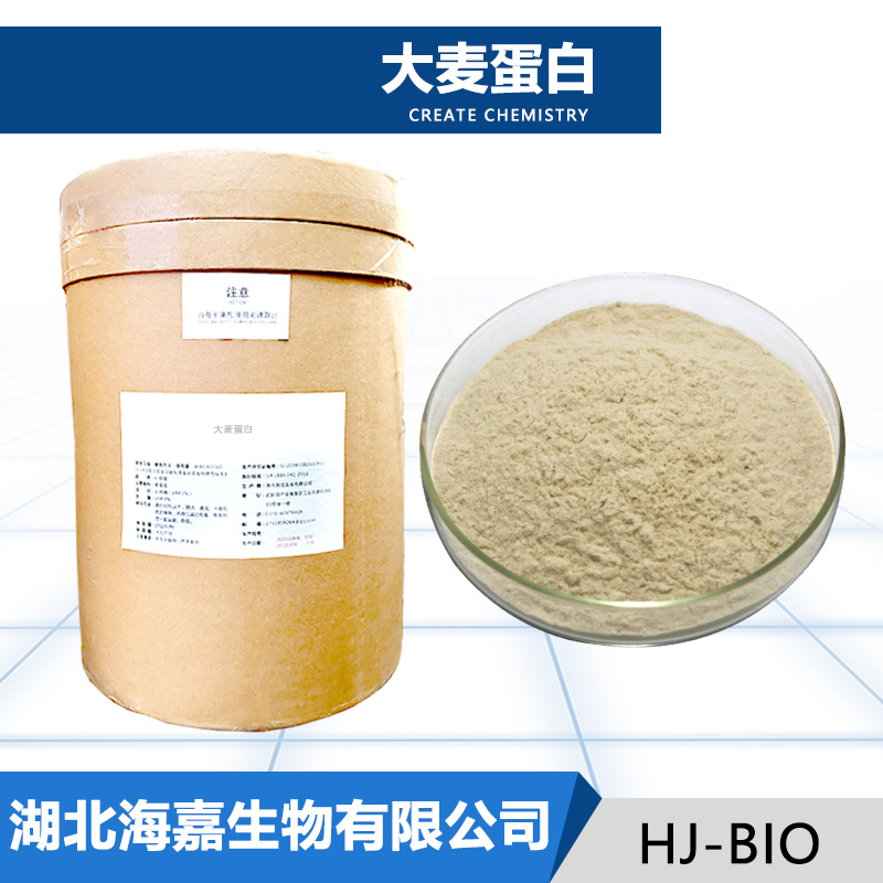 大麦蛋白,barley protein