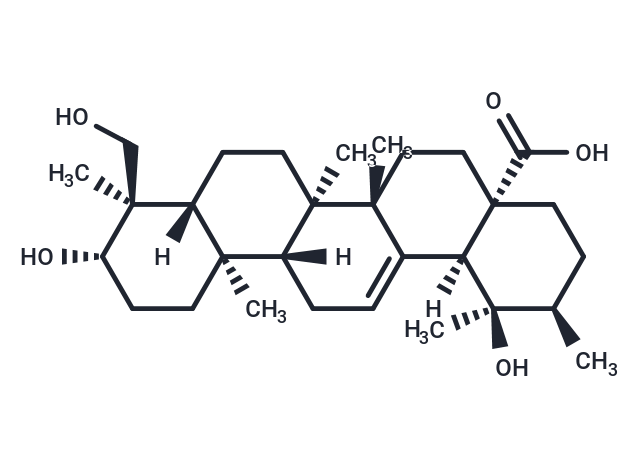 铁冬青酸,Rotundic acid