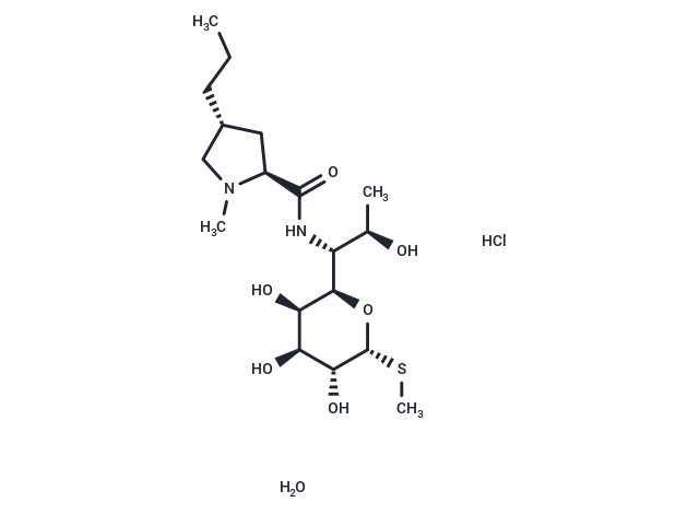林可霉素,Lincomycin hydrochloride monohydrate