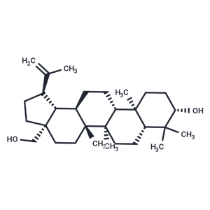 白桦脂醇,Betulin