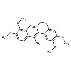 脱氢紫堇碱|T5S2358