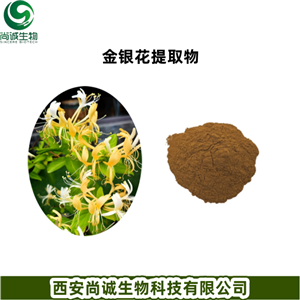 金银花提取物,lonicera caprifolium extract