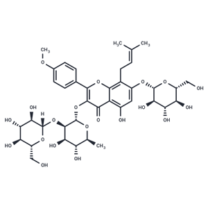 淫羊霍定 A|T3906