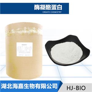 凝乳酶干酪素厂家