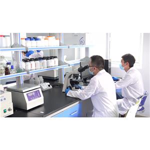 β1,3葡聚糖,1,3 Glucanase (1,3GA) Test Kit (Micro Method)