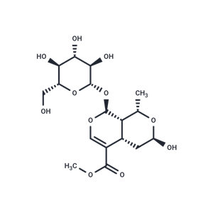 莫诺苷,Morroniside