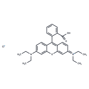 罗丹明B|T7975|TargetMol