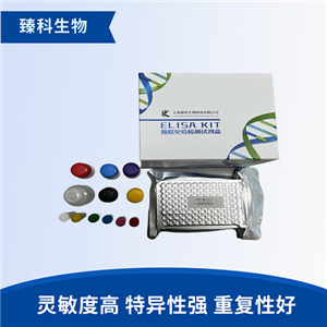 人核糖核酸酶(RNASE）elisa测定试剂盒
