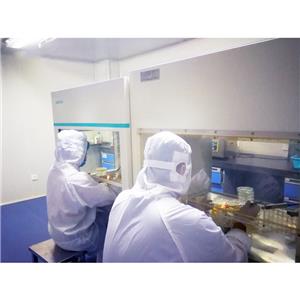 金枪鱼油,Tuna Oil Microencapsulated Powder (DHA)