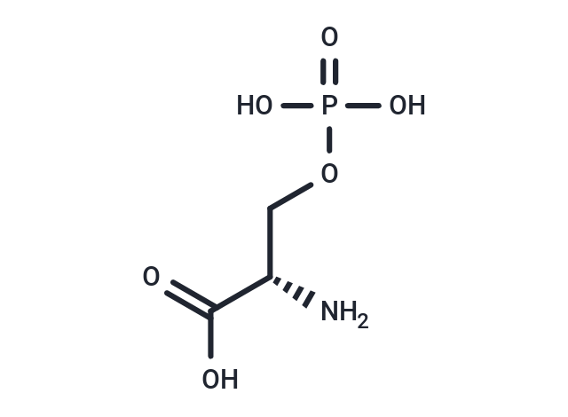磷酸化丝氨酸,O-Phospho-L-serine