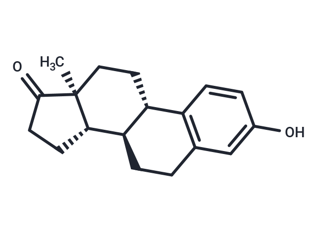 雌酮,Estrone