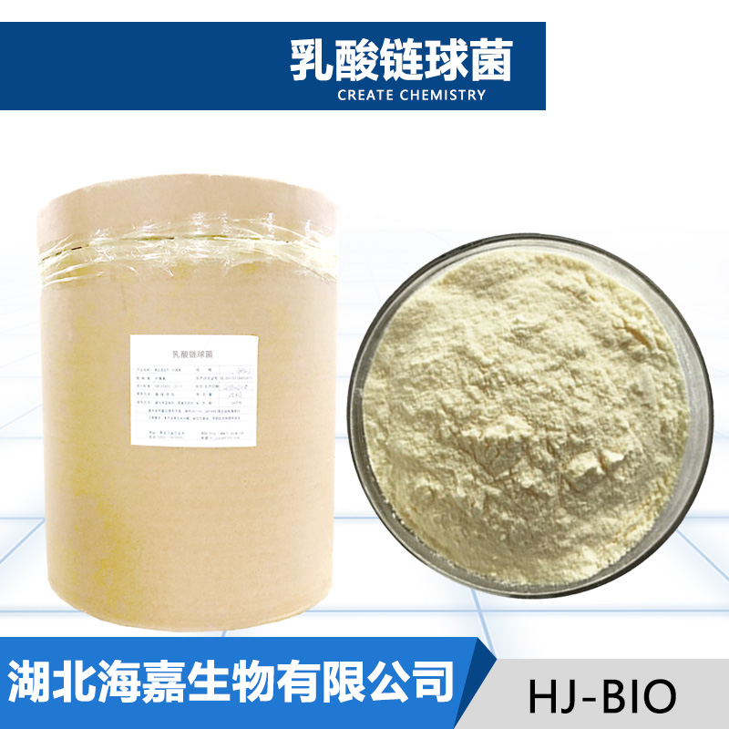 乳酸链球菌,Streptococcus lactis