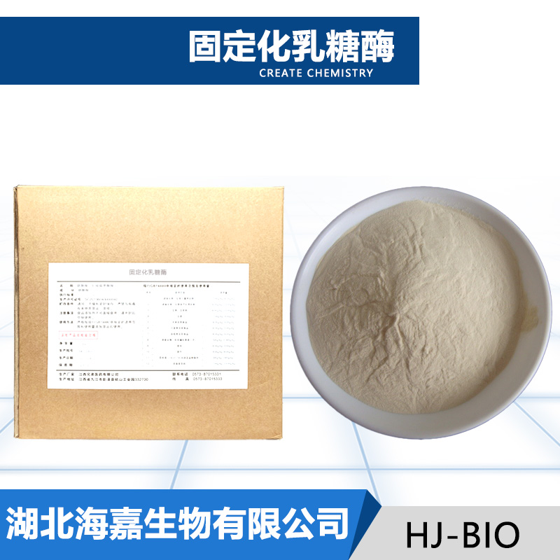 固定化乳糖酶,immobilized lactase
