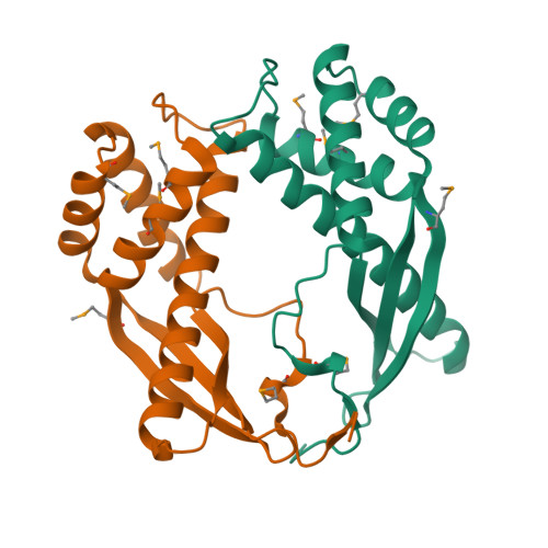 TNF-α蛋白,TNF-alpha