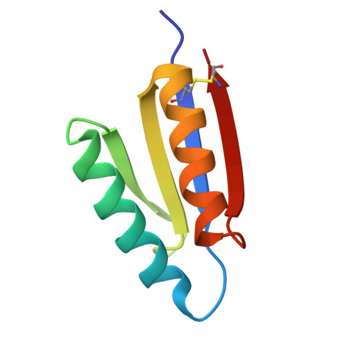 整合素αvβ6,Integrin αvβ6