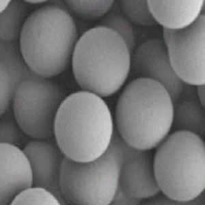 聚乳酸-羟基乙酸共聚物荧光微球,PLGA Fluorescent Microspheres