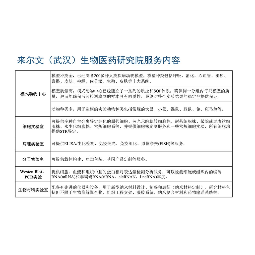 BON-1胰腺癌细胞株（2025.8月鉴定正确）,BON-1