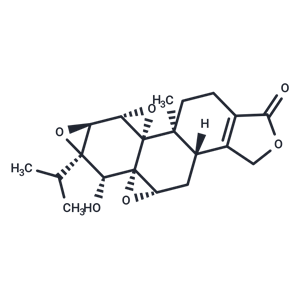 雷公藤甲素,Triptolide