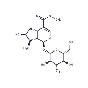 马钱子苷,Loganin