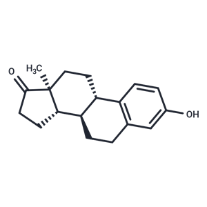 雌酮,Estrone