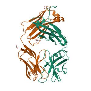 小鼠IL-6蛋白-ACROBiosystems百普赛斯