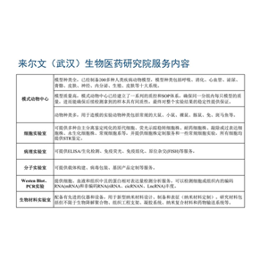 BON-1胰腺神经内分泌瘤细胞