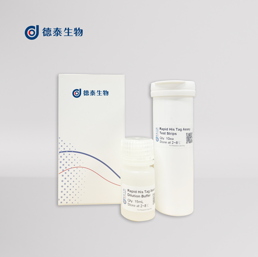 FLAG标签蛋白快速检测试剂盒