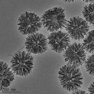 单分散中空介孔碳球,Monodisperse Hollow Mesoporous Carbon Spheres