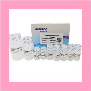 α-葡萄糖苷酶活性抑制检测试剂盒,α-Glucosidase Inhibitory Activity Assay Kit